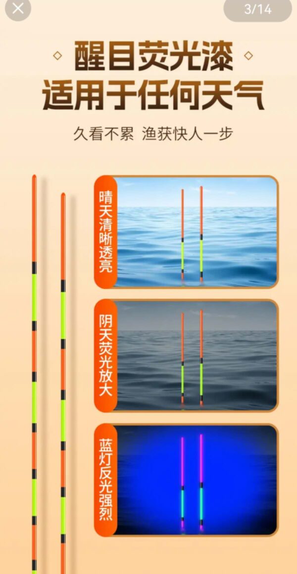 Galleggiante Eccellente "Mori Svuotato" per Carassio e Carpa**Canna da corsa svuotata, di altissima qualità in mori (canna palustre), per Carassi e Carpe**